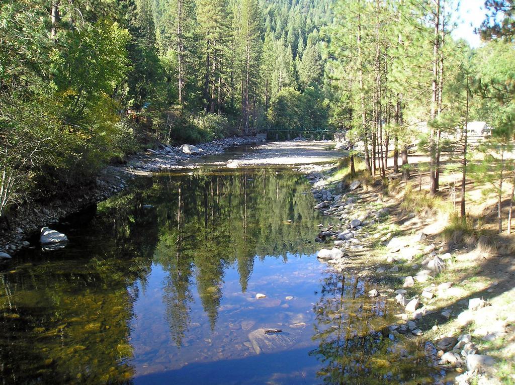 Yosemite Lakes Cottage 52 Harden Flat Eksteriør bilde